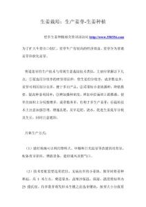 生姜栽培：生產姜芽-生姜種植