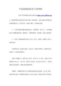 生姜油提取技術-生姜種植