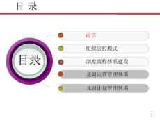 龍湖項目運營管理體系與房地產(chǎn)異地多項目管9032988 (1)