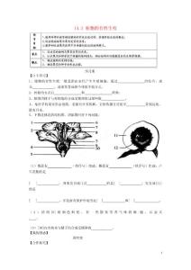 黑龍江省大慶市第十四中學(xué)2012-2013學(xué)年八年級(jí)生物下冊(cè) 142 植物的有性生殖導(dǎo)學(xué)案