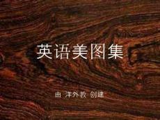 唯美英语美图集【12】（附个人翻译）