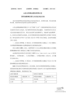 山东太阳纸业股份有限公司第四届董事会第九次会议决议公告