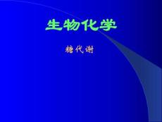 【生物课件】糖代谢