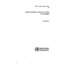 WHO expert consultation on rabies