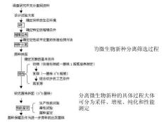 【生物课件】生物工艺学3