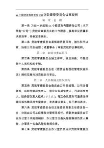 小额贷款有限责任公司贷款审查委员会议事规则