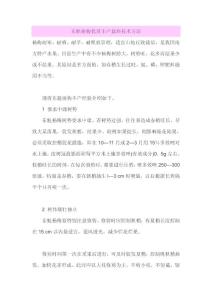 东魁杨梅优质丰产栽培技术方法