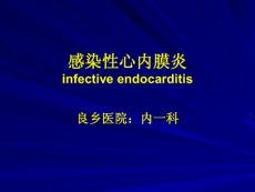 感染性心內(nèi)膜炎課件
