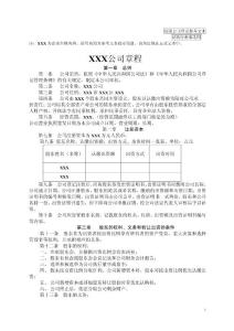 章程（设执行董事）