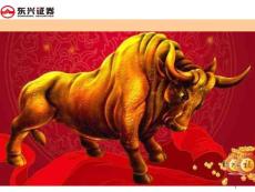 东兴1号产品培训PPT
