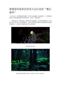 螢火蟲魔幻森林