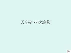 天宇礦業迎接您[精彩]