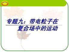 专题九：复合场00