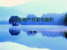 商業地產的開發及盈利模式萬達講義