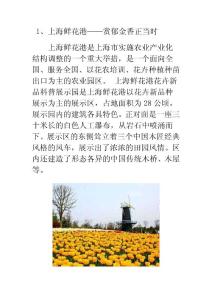 上海春季自驾游 郊区赏花攻略