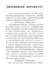 党建带团建促基层发展  创先争优展青年风采