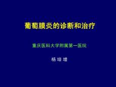 葡萄膜炎的诊断和治疗（北京杨柳）20100605