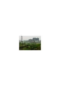 天津科技大学校园景006