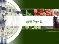 《沒有細(xì)胞結(jié)構(gòu)的微小生物――病毒》教學(xué)課件