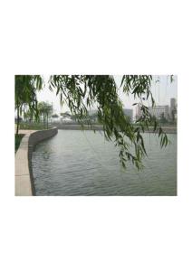 天津科技大学校园风景051