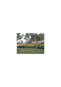 天津科技大学校园风景058