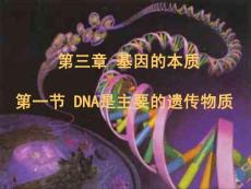 DNA是主要的遗传物质