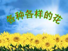 教科版小学四年级下册科学《各种各样的花》课件