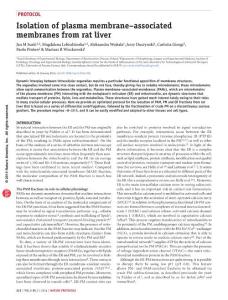 Isolation of plasma membrane–associated membranes from rat liver