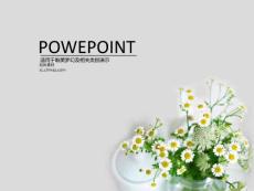 雏菊盆景PPT模板