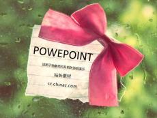 美丽蝴蝶结PPT模板