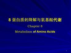 蛋白质降解和氨基酸的代谢