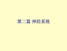 细胞生理学原理第6章 细胞的组构