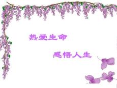 紫藤萝瀑布-宗璞教学课件