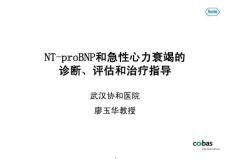 NT-proBNP和急性心力衰竭的诊断、评估和治疗指导_廖玉华