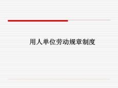 用人單位勞動規(guī)章制度