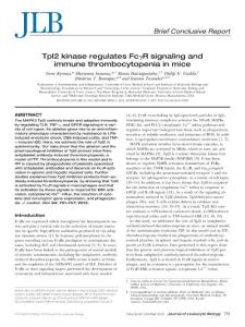 Tpl2 kinase regulates Fc R signaling Source J Leukoc Biol SO 2013 Oct 94 4 751 7[PMIDM23898046]