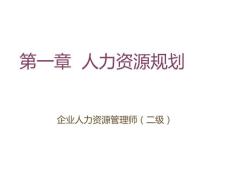 二級人力資源規劃-2014年新版課件