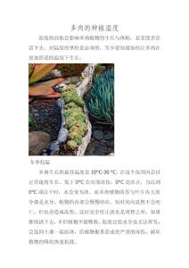 多肉的種植溫度