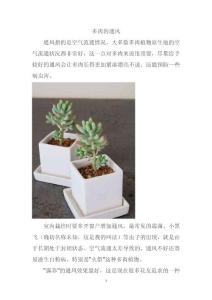 多肉植物的通風