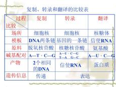 基因對性狀的控制223