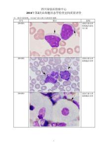 各省份血细胞形态学检查室间质量评价