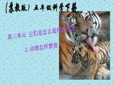 【精品课件】苏教版科学五下《动物怎样繁殖后代》ppt课件2