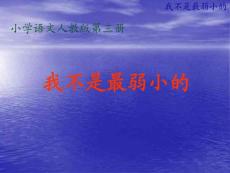 我不是最弱小的