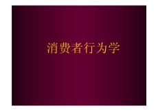 消费者行为学【共330PDF，非常好的一份讲义】