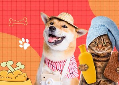 匯集寵物領(lǐng)養(yǎng)、飲食、訓(xùn)練、美容和健康的經(jīng)驗，你就是養(yǎng)寵達人