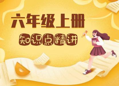 小学六年级数学知识点精讲（上册）