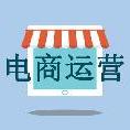 电商运营专题