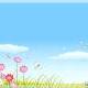 6341691_chao