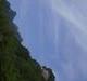 ? 姬園園