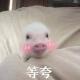 weixin_6d675061